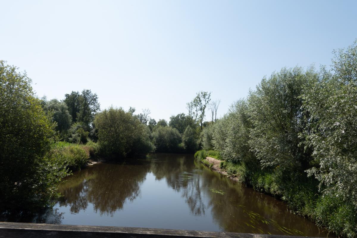 DSC08408
