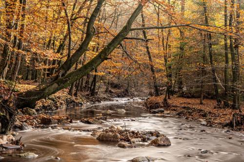 La-Hoegne in de herfst