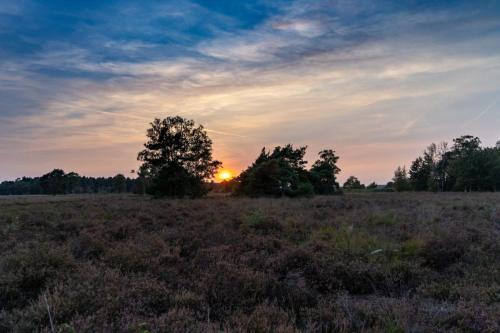 Neterselse Heide ontwaakt